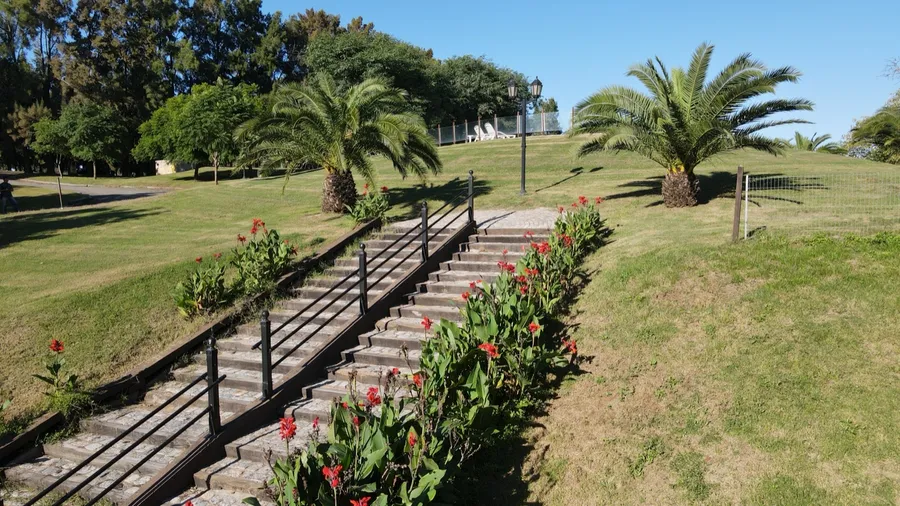 Escalinata de madera hacia el parque, con palmeras y flores