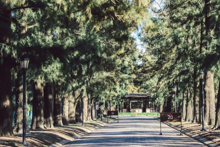 Boulevard arbolado con bancos y quincho al fondo