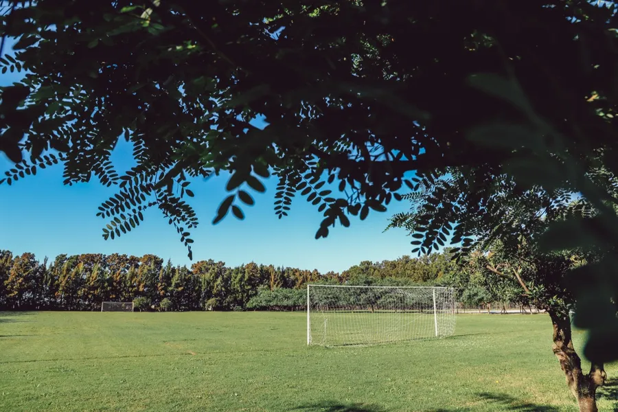 Cancha de fútbol con arco y arboleda de fondo