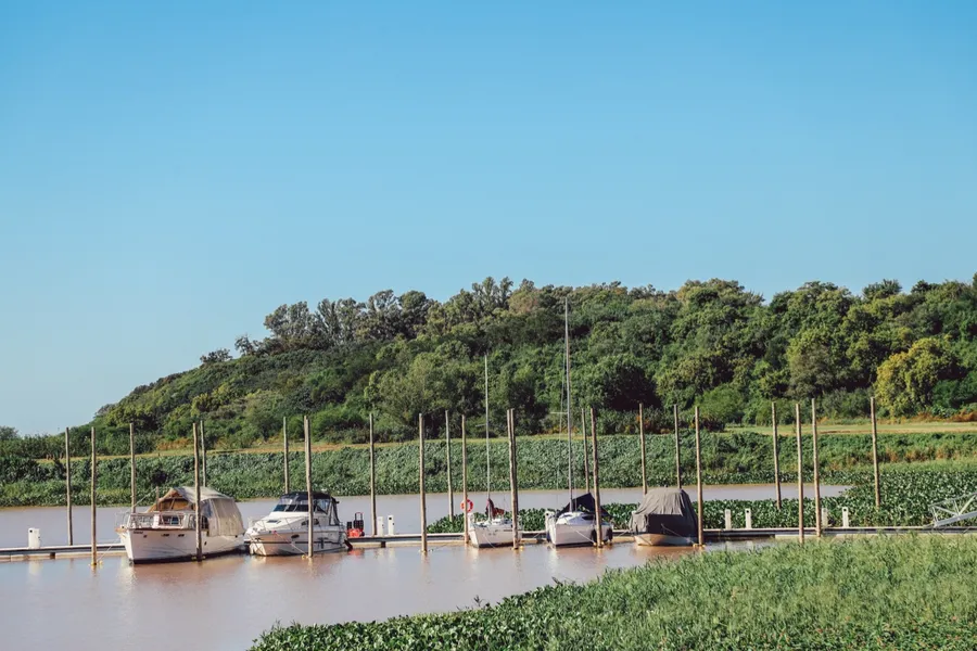 Embarcaciones amarradas en la marina sobre el Paraná