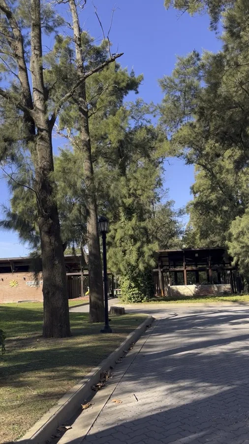 Recorrido en video por los caminos arbolados del barrio
