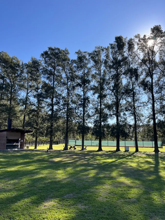 Arboleda alta y espacios verdes dentro del barrio