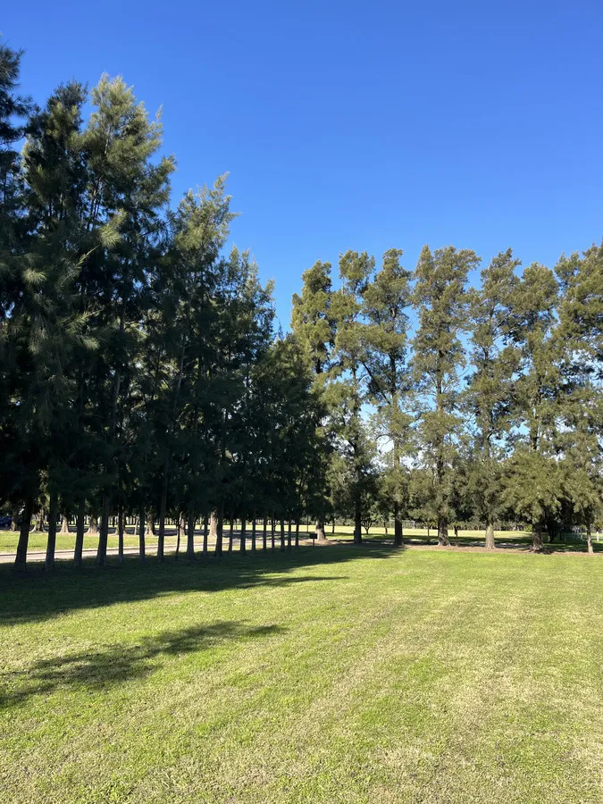 Amplio espacio verde común del barrio