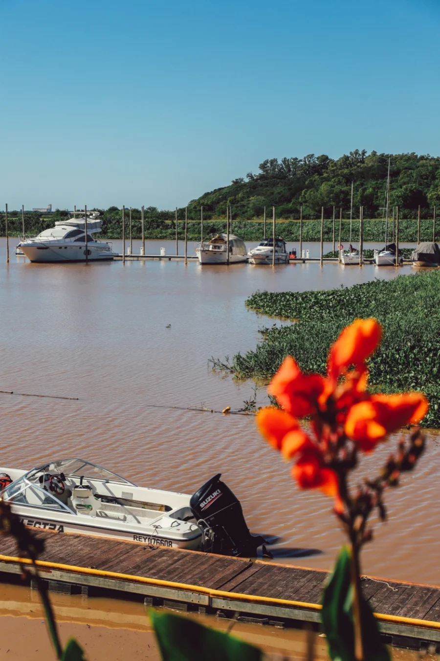 La marina de Azahares del Paraná con embarcaciones amarradas sobre el río